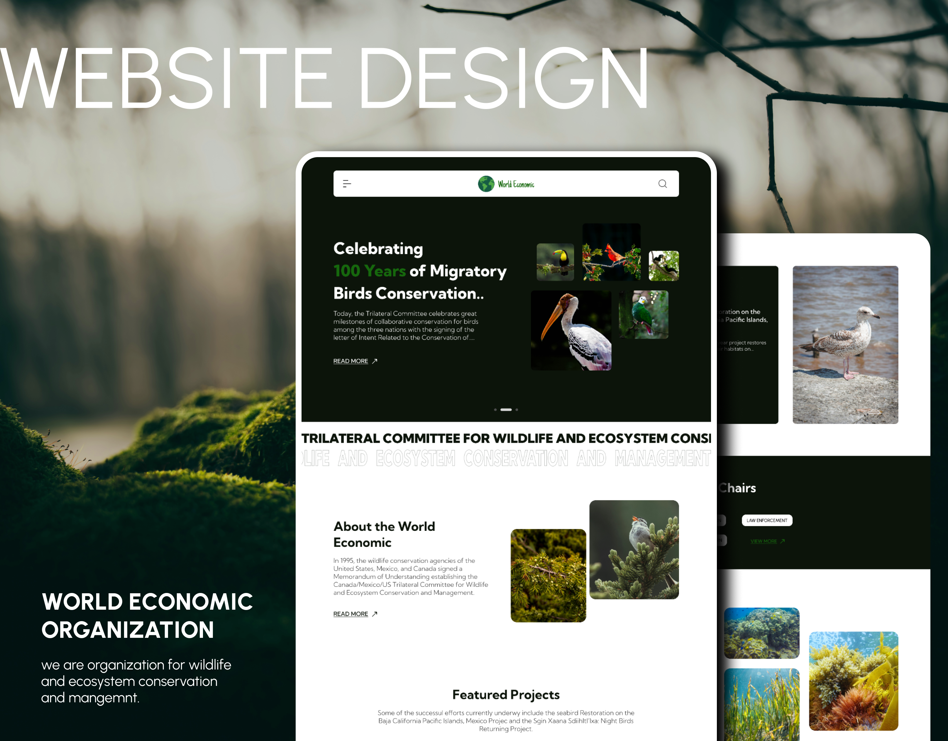 Example of Website Landing Page Design